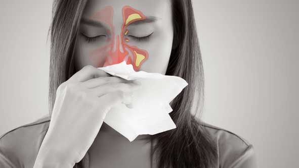 medical-concept-of-sinuses-oc-ent-clinic