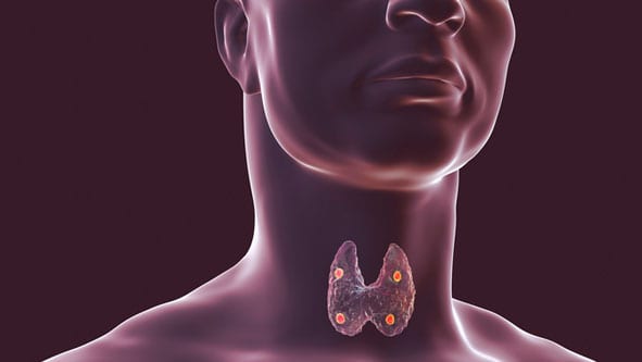 thyroid-location-oc-ent-clinic