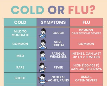cold or flu symptoms? - an infographic comparing the difference